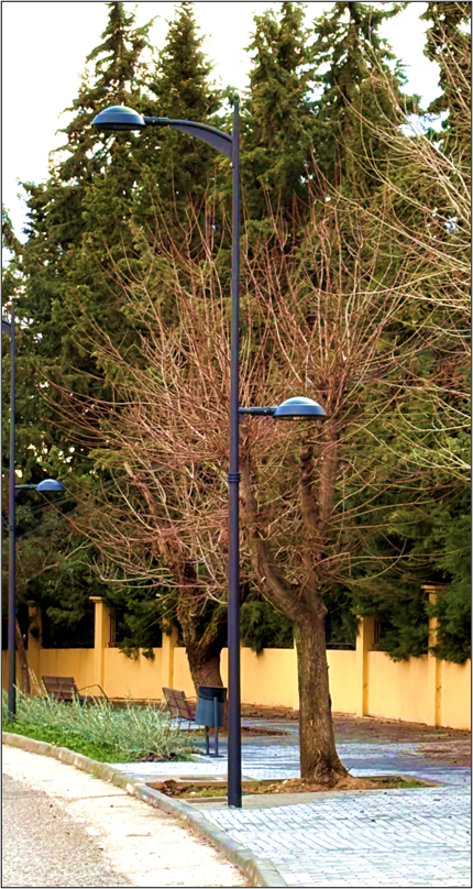 columnas atlas eca instaladas